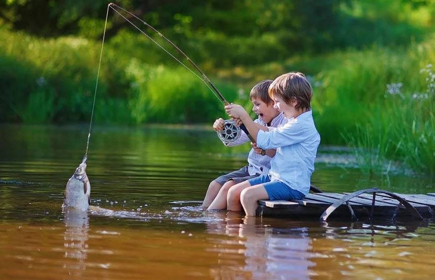В какую погоду лучше всего ловить рыбу