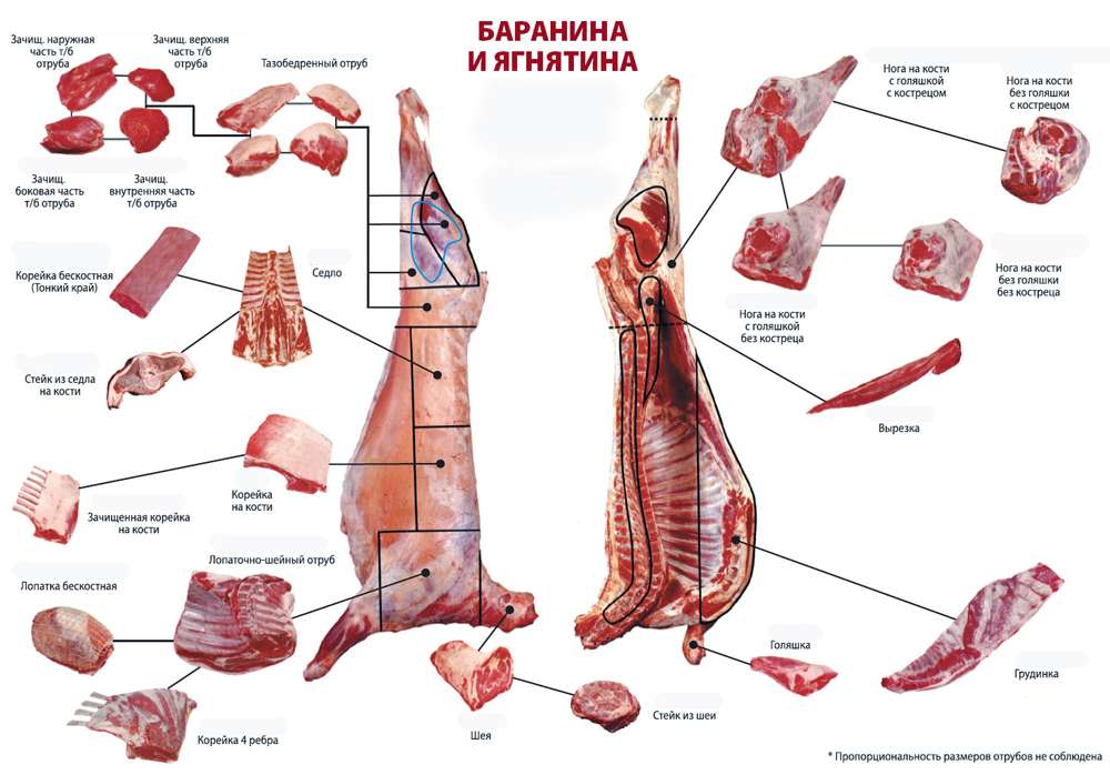 Мясо барана: состав и полезные свойства продукта