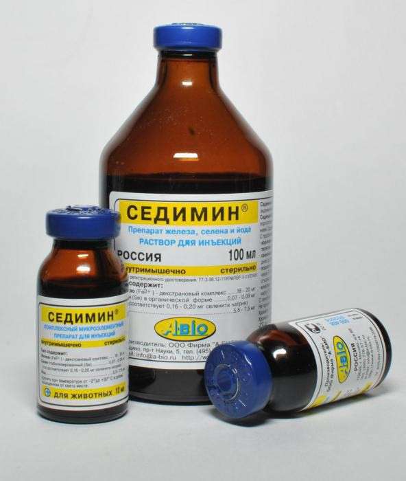 Седимин для поросят: правила введения и побочные эффекты