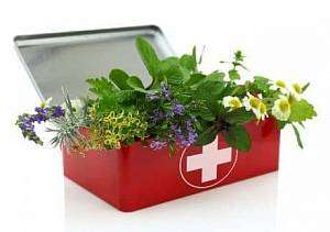 Собираем «дачную» аптечку для растений