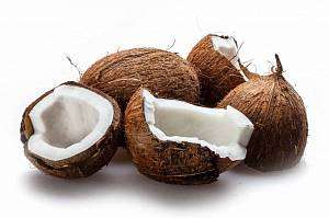 Как приготовить кокосовый субстрат для растений